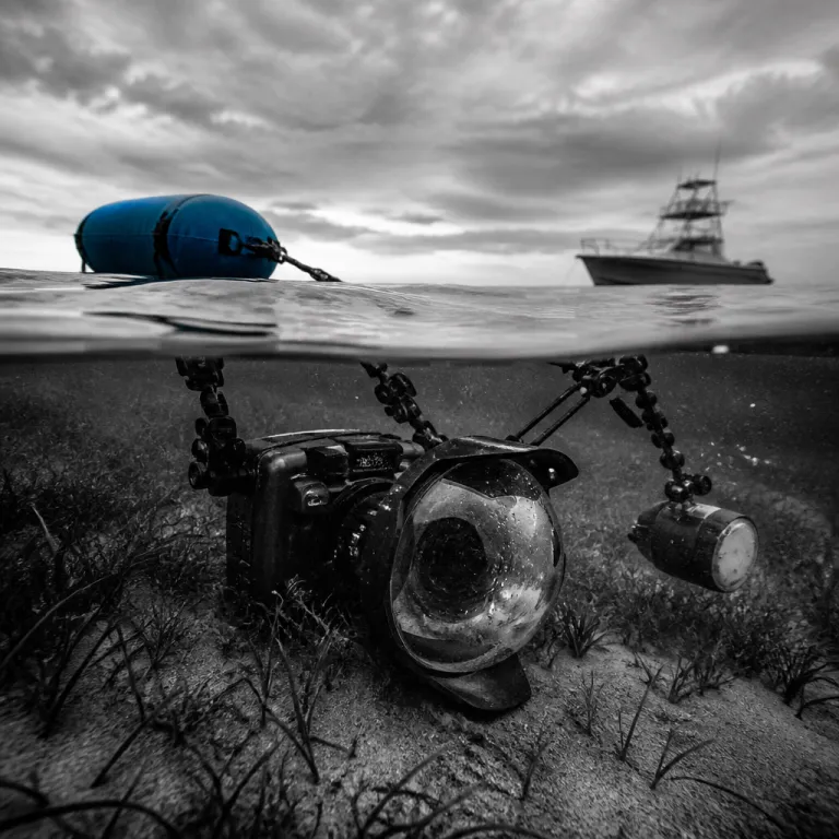The Split Shot: Mastering Half-and-Half Underwater Photography