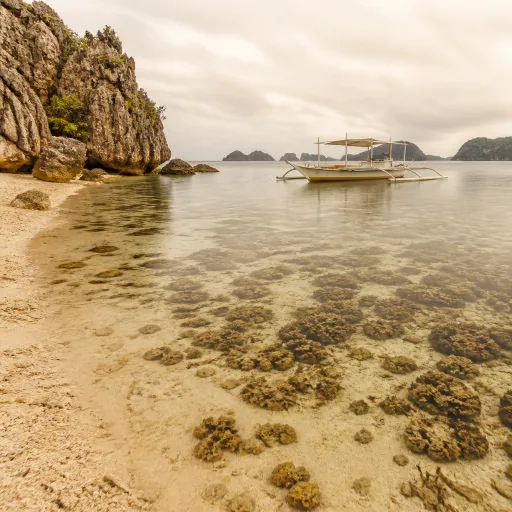 Where to find the best place to scuba dive in Philippines tropical reefs